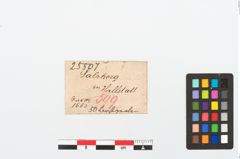 Etikett zu Perlenkette (NHMW-PRAE-025507)